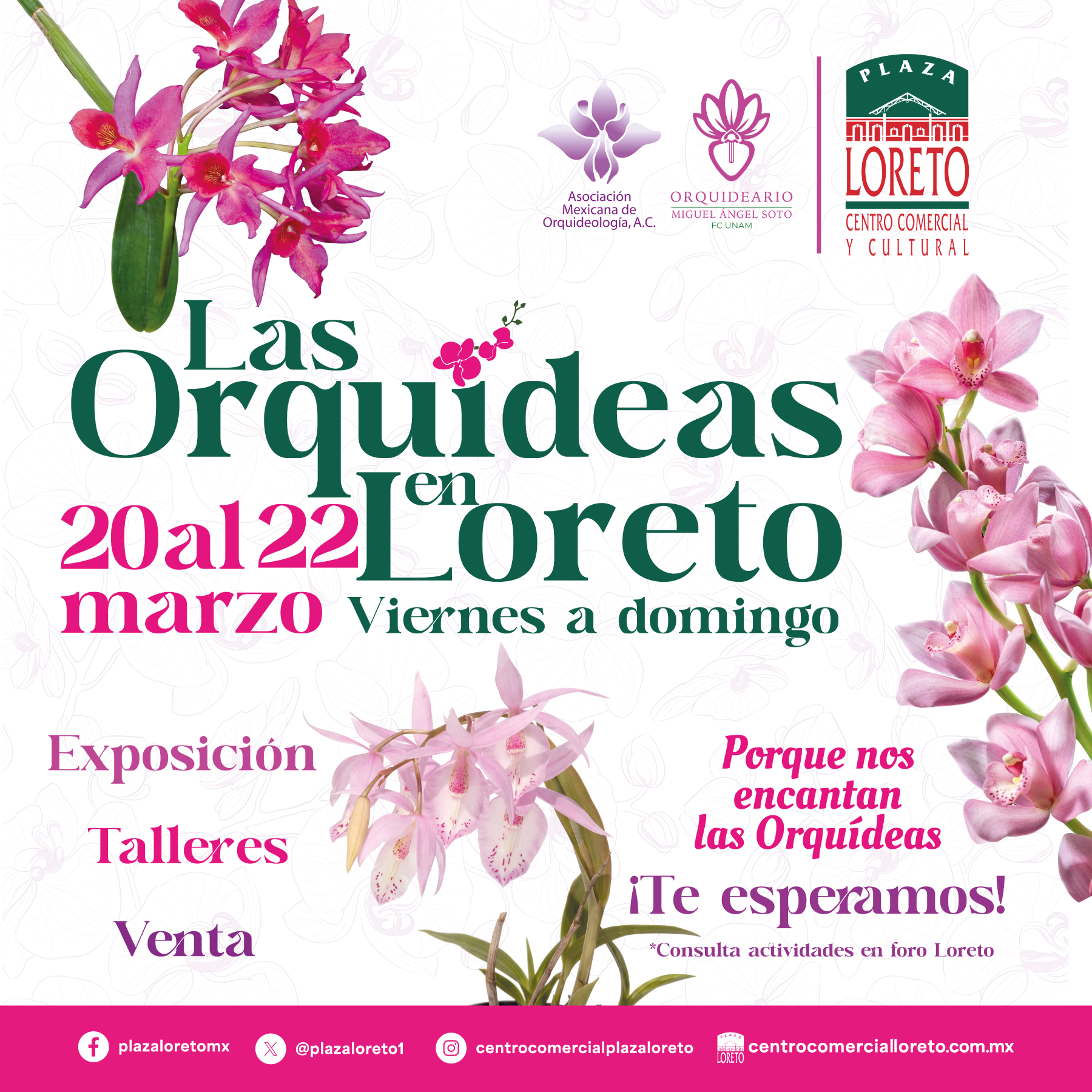 orquideas